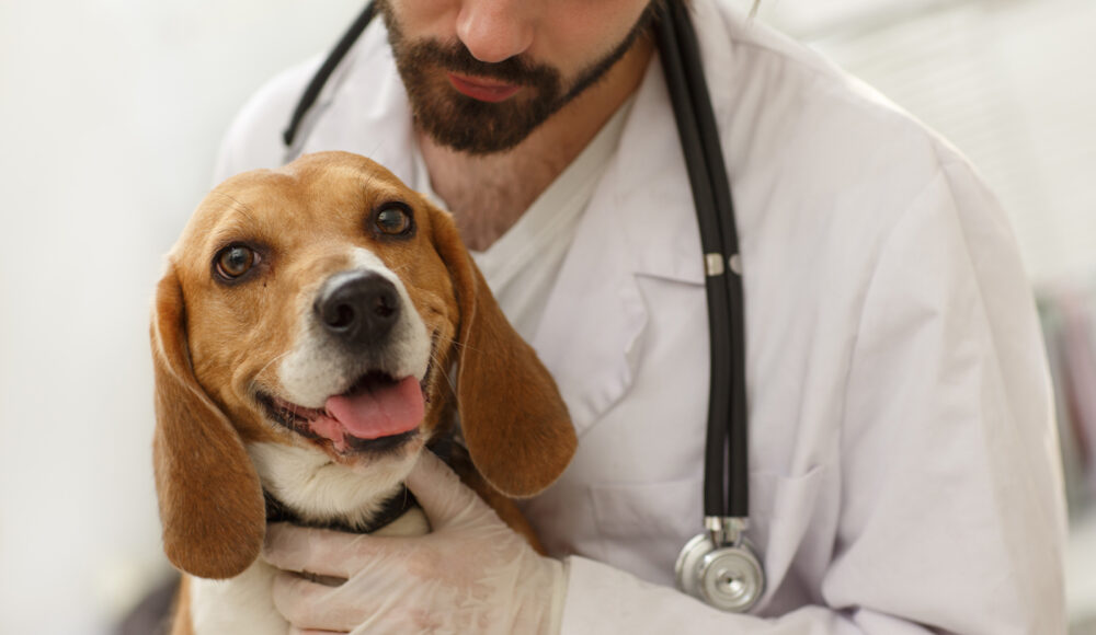 Talk to your Doctor about Medication